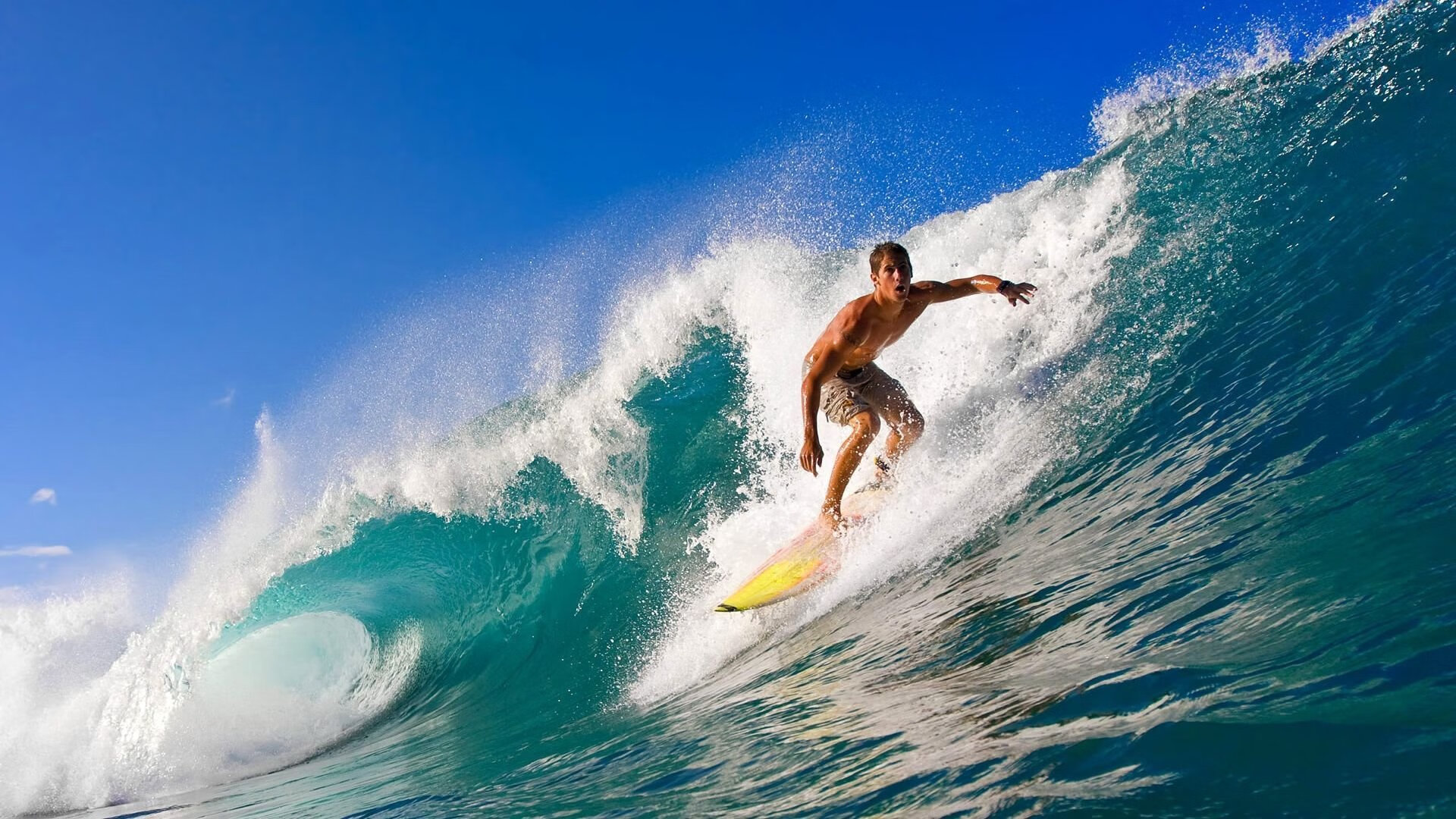 爱游戏官网首页-体育科研机构开展跨学科运动研究项目，体育跨学科案例